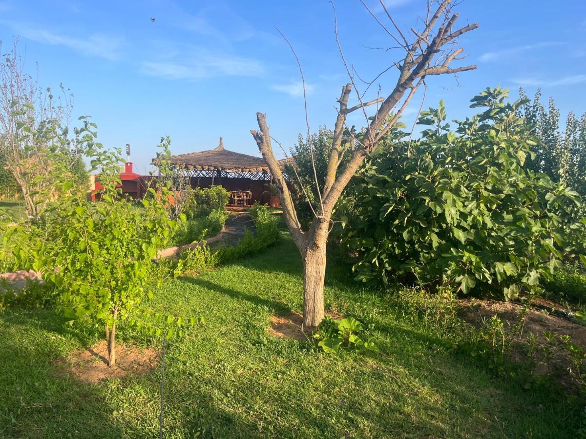 Dar Moghal Tiflet Exterior foto